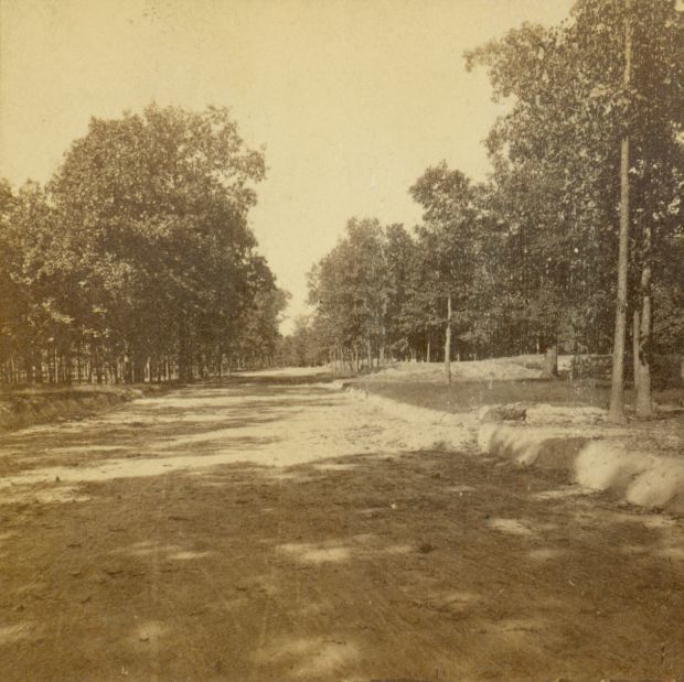 Forest Park in 1875